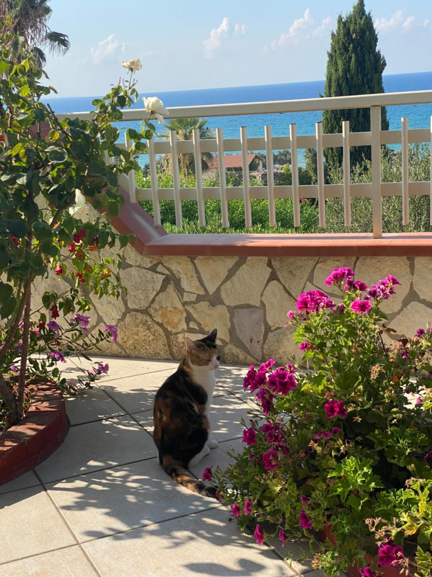 Villa Mare Giuggiola Alcamo Marina Buitenkant foto
