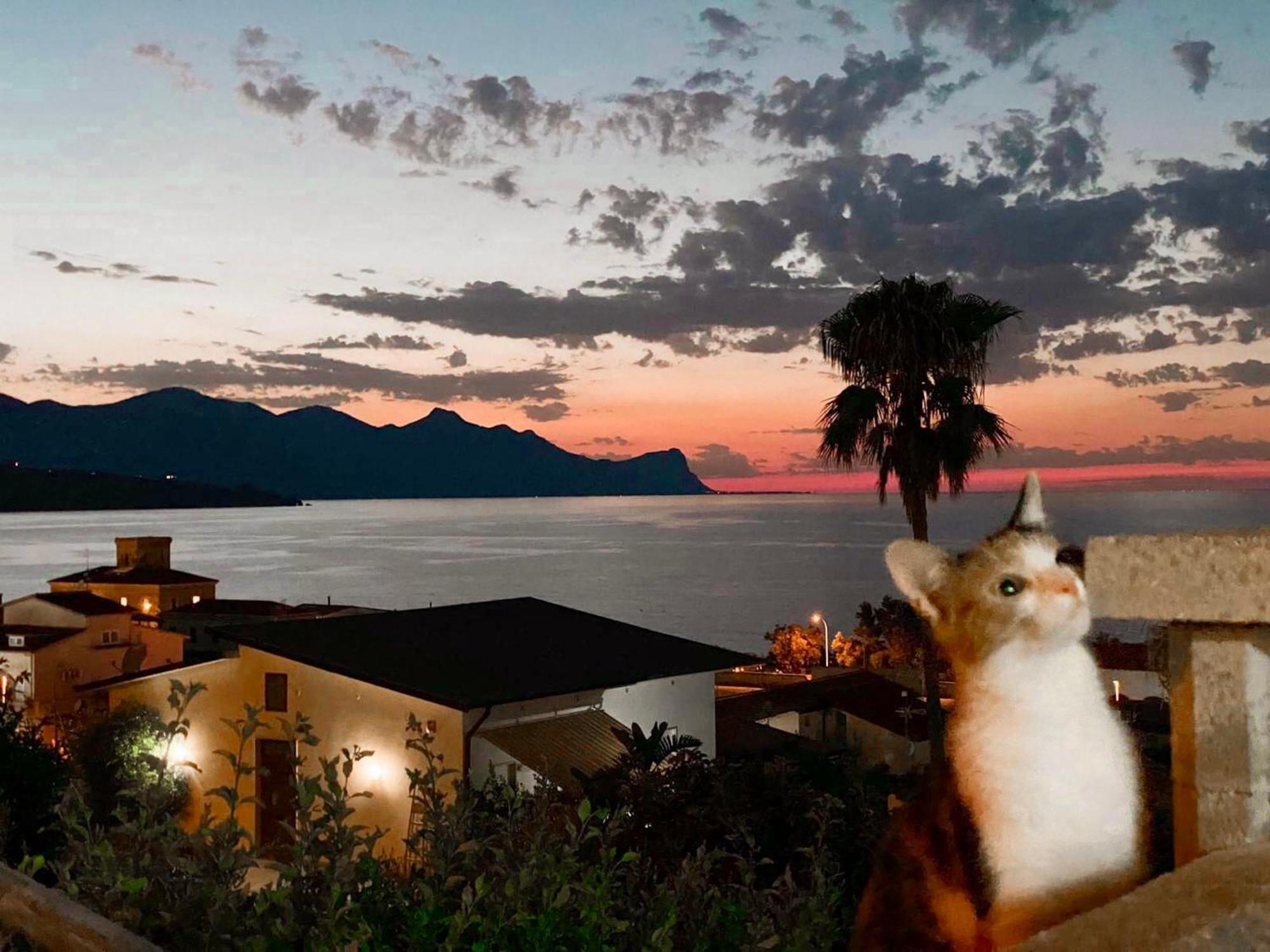 Villa Mare Giuggiola Alcamo Marina Buitenkant foto